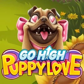 Enjoy Go High Puppy Love by RubyPlay – logo hosted on casinachocasinoo.com